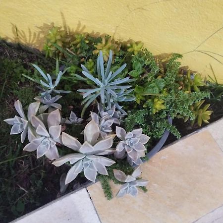 Pousada Agua Marinha كاراغواتاتوبا المظهر الخارجي الصورة